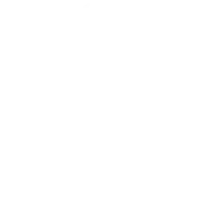 Conductor profesional y multilingüe